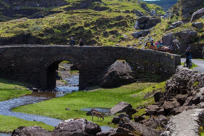 The Gap of Dunloe Full-Day Tour from Killarney - The jaunting cart at Kate Kearney’s Cottage, and why it can be smart