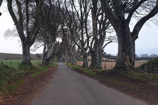 The Giant's Causeway, Dunluce Castel and Belfast - Spanish guide - Spanish guide care: what language changes for you on day trips