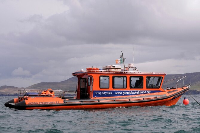 The Great Blasket Island Experience - Premium Tour - Midge reality check, and what to pack