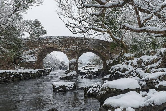 The Meeting of the Waters, Dinis Island, Lakes of Killarney - Gliding Killarney’s Lakes, One Bridge at a Time