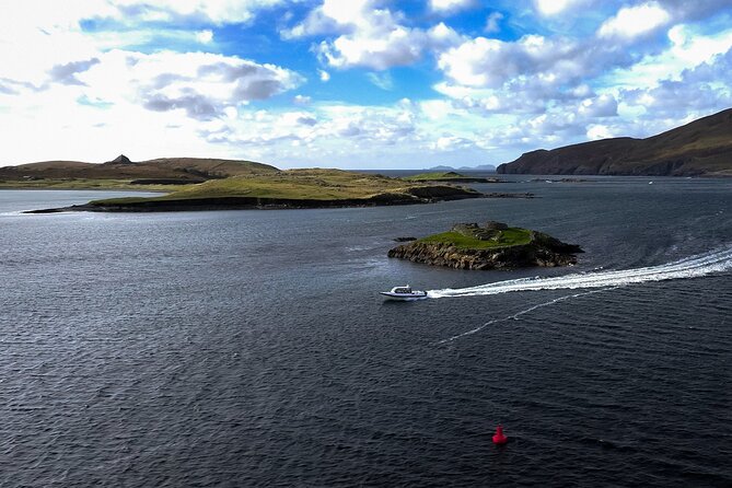 The Valentia Island Experience - Dolphins and whale sightings, plus how to maximize your odds