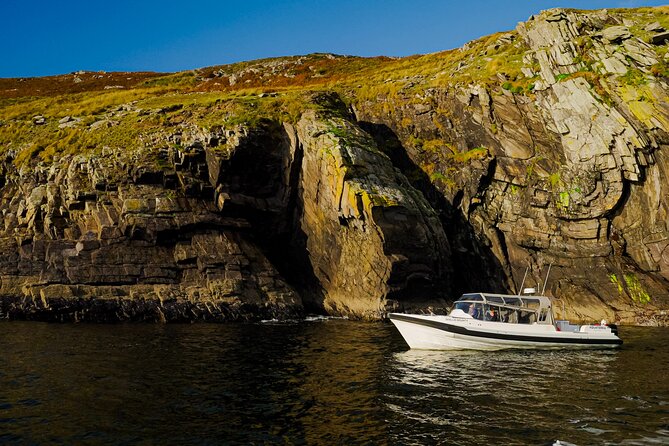 The Valentia Island Experience - What makes the tour feel worth $84.10, comfort and storytelling that click
