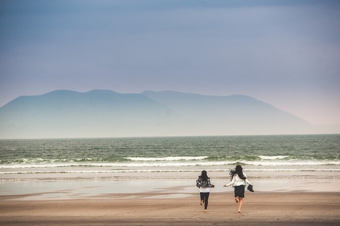 The Wild Coast of Dingle Peninsula and Slea Head from Killarney - Key things to know before you go