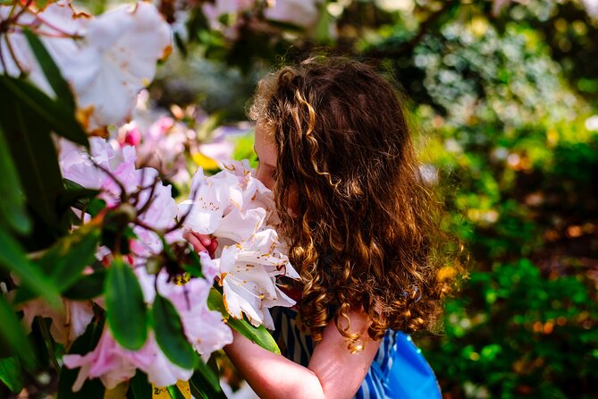 Tickets to Explore Ireland's Global Garden - Key Highlights You Should Know Before You Go