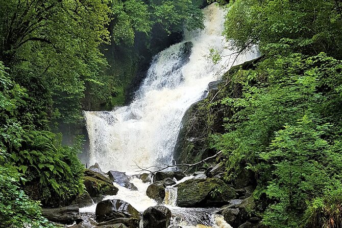 Torc mountain & waterfall hike. Killarney. Private guided group. 3½ hours. - Key highlights at a glance