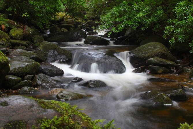 Torc mountain & waterfall hike. Killarney. Private guided group. 3½ hours. - Meeting at Brackloon, and why the private setup helps on this trail