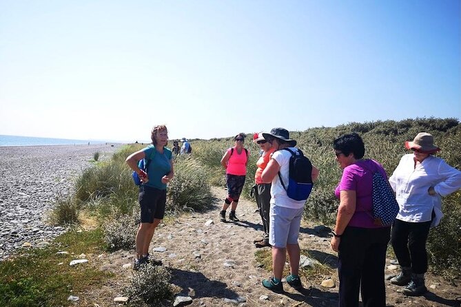 Tour Wicklow Mountains National Park in a limo with private guide - What you should do with this day: best-fit travelers and practical expectations