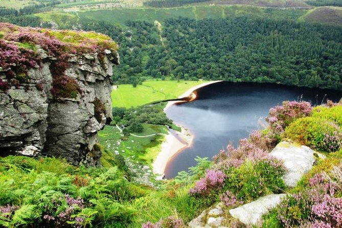 Tour Wicklow Mountains National Park in a limo with private guide - Wicklow Mountains National Park drive: movie views without the time drain