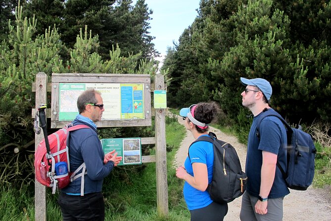 Trek the Tombs and Trails in the Dublin Mountains - Wicklow Mountains National Park time: heading toward viewpoints and cairn tombs