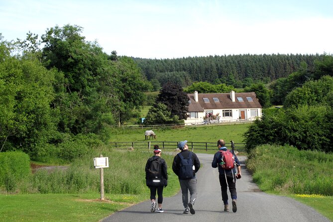 Trek the Tombs and Trails in the Dublin Mountains - Ridge walking north to south: tombs, views, and a second ancient burial