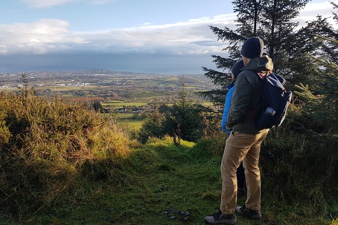 Trek the Tombs and Trails in the Dublin Mountains - Descending through evergreen forest to the Hazel House area