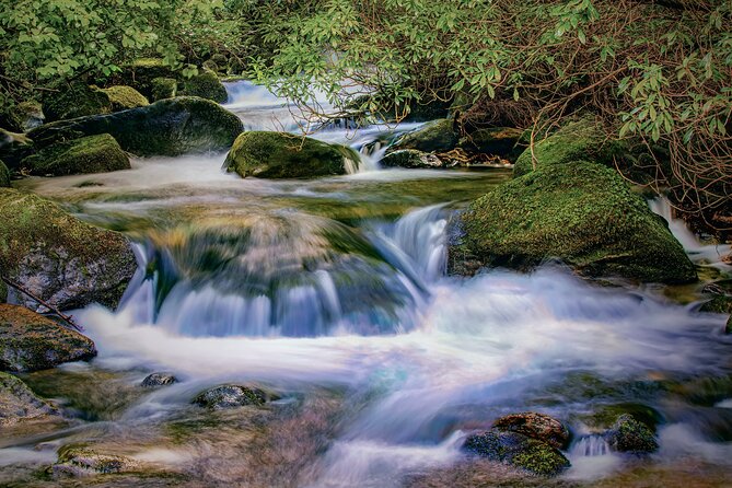 Uncover the Ring of Kerry & Kerry Cliffs -Private Luxury Day Tour - Torc Waterfall and Ross Castle: Ending With Nature and Old Iron-Clad Drama