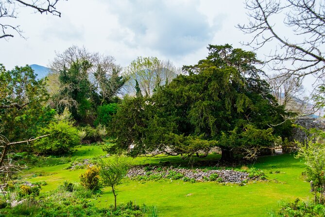 Visit Innisfallen Island - When to choose this trip and who it suits best
