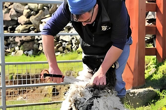 Visit traditional working sheep farm with sheepdog demo. Galway. - Getting to Killary Sheep Farm, and what the drive is really like