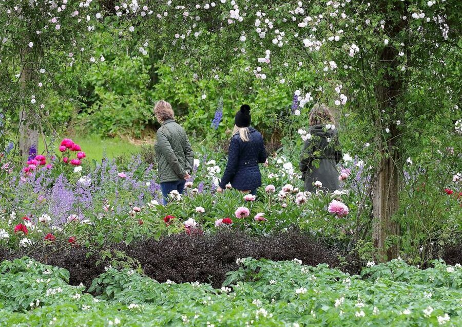 Waterford: Mount Congreve Gardens Entry Ticket - Who should book this ticket, and who might skip it