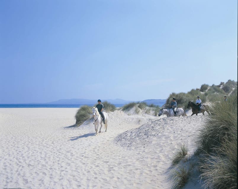 Westport: Beach and Countryside Guided Horse Ride - Key things I’d plan around