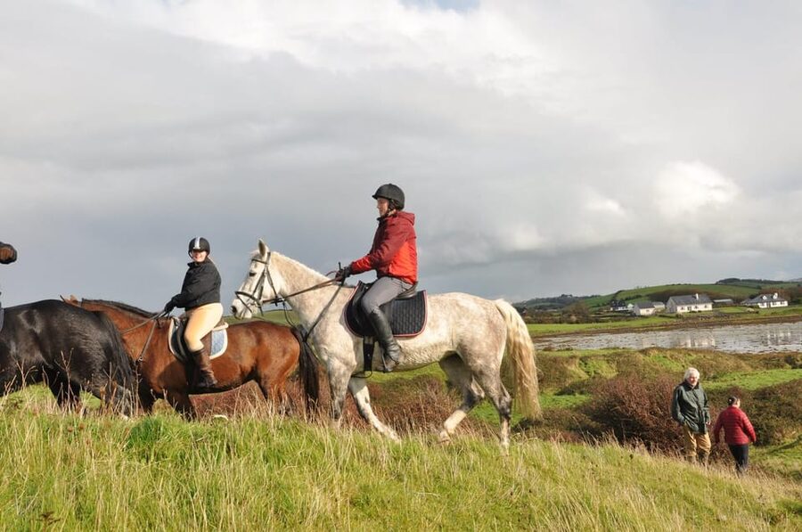 Westport: Beach and Countryside Guided Horse Ride - Two tour lengths, one simple goal: match it to your day