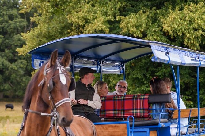 Whiskey & Wonders in Killarney - Key things that make this tour special