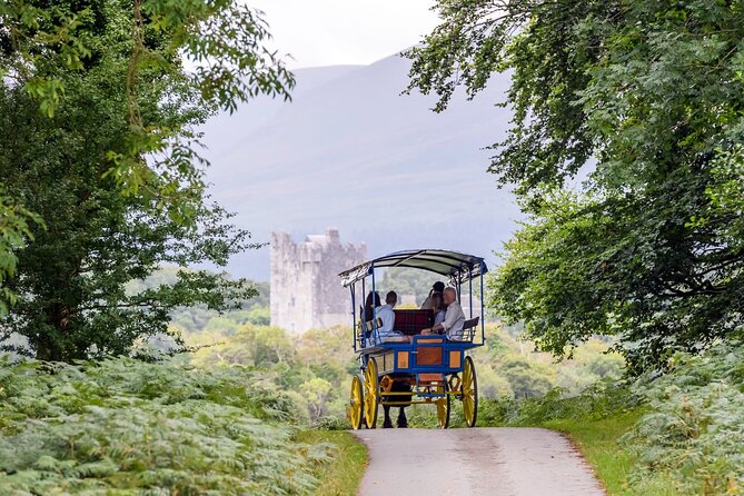 Whiskey & Wonders in Killarney - Riding into Killarney National Park with MacGillycuddy Reeks views