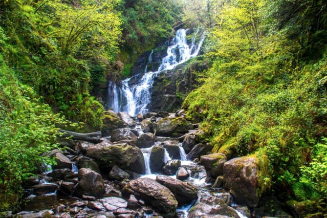 Wicklow Mountains & Glendalough Luxury Private Day Tour - Who This Private Day Tour Fits Best, and Who Might Pass