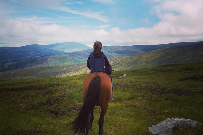 Wicklow Mountains Horse Trekking - Key things you will notice on this Wicklow horse trek