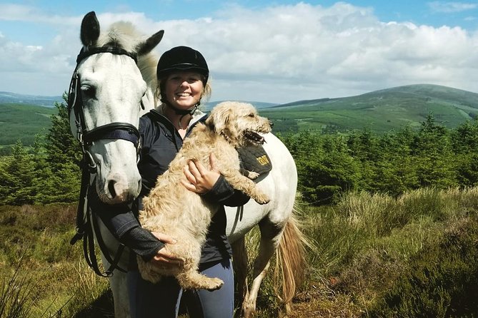 Wicklow Mountains Horse Trekking - What happens before you ride, including the quick beginner lesson