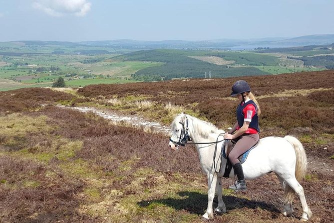 Wicklow Mountains Horse Trekking - The guide experience: Ray, Lisa, Nicole, and Jack in the spotlight