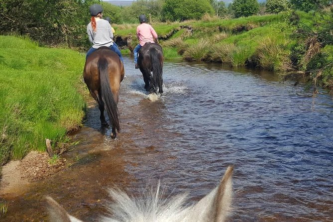 Wicklow Mountains Horse Trekking - Who should book this Wicklow horseback trek, and who should think twice