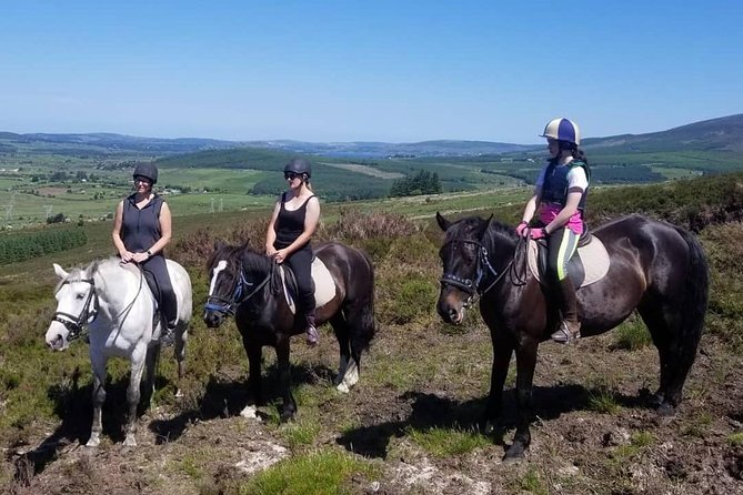 Wicklow Mountains Horse Trekking - Booking tips that help your ride feel smooth