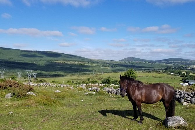 Wicklow Mountains Horse Trekking - Riding the Wicklow Mountains and the Kings River valley route