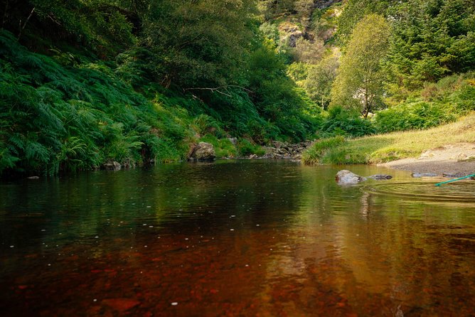 Wicklow Mountains Private Day Trip from Dublin - Stop 3: Glendalough Monastic Settlement and the Valley of the Two Lakes