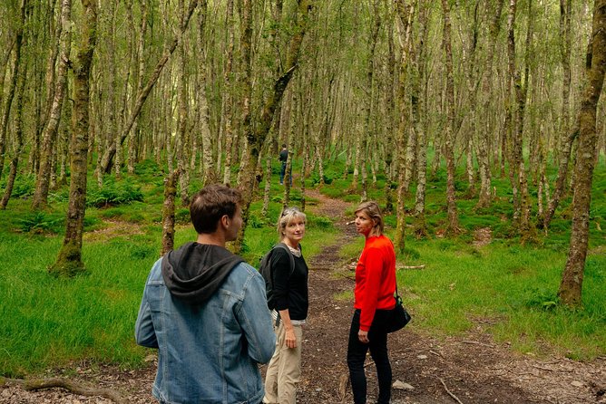 Wicklow Mountains Private Day Trip from Dublin - Value for $52, What You’re Really Paying For