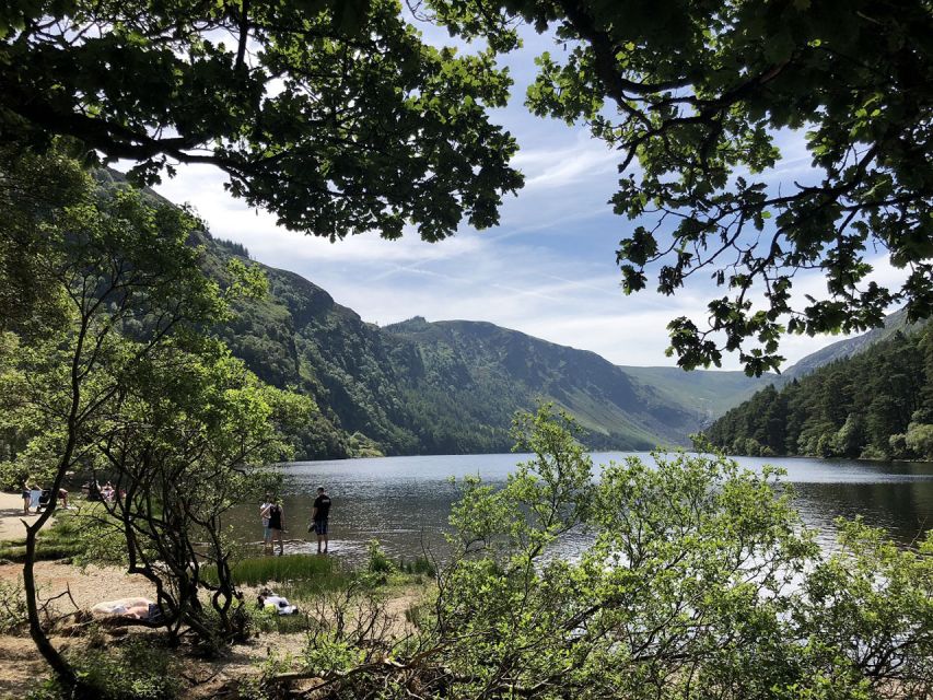 Wicklow: Private Day Tour from Dublin - Wicklow Mountains National Park scenic stops and the movie-location buzz