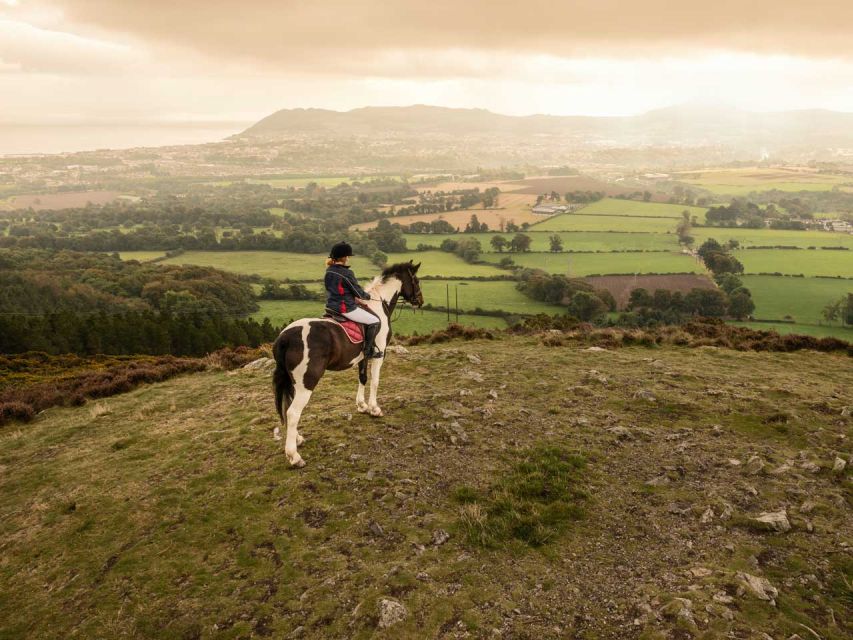 Wicklow: Private Day Tour from Dublin - Lunch near Glendalough: fresh Wicklow produce in a rural pub setting