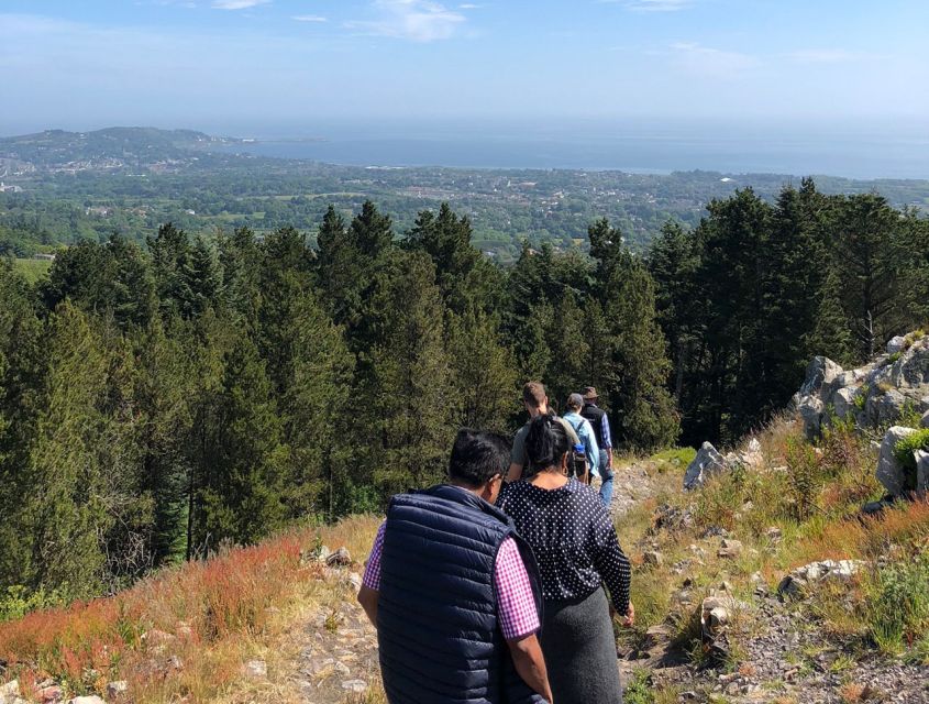 Wicklow: Private Day Tour from Dublin - How “private” shows up in your day: pacing, swaps, and flexibility
