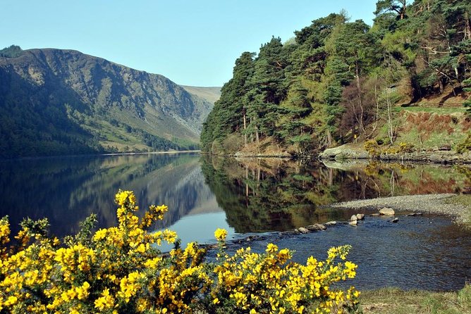 Wicklow tour of Glendalough - Lough Tay, Also Called the Guinness Lake: A Photo Stop With Built-In Purpose