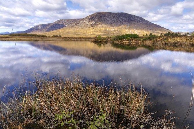 Wild Brown Trout fishing. Lough Corrib. French speaking Ghillie/Guide. Full day. - Gear included, plus what to bring so you feel ready