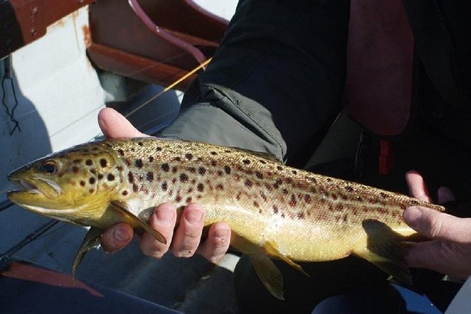 Wild Brown Trout fishing. Lough Corrib. French speaking Ghillie/Guide. Full day. - Life jacket law on Lough Corrib, and why you should take it seriously