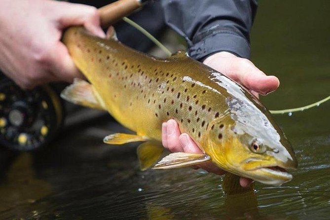 Wild Brown Trout fishing. Lough Corrib. French speaking Ghillie/Guide. Full day. - Your French-speaking ghillie/guide, and how the day plays out