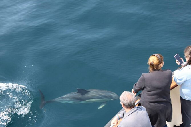 Wildlife Tour - How the wildlife route works when sightings change